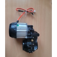 Motor s převodovkou 48V, 1000W (pro mulčovače SPIKE BIG)